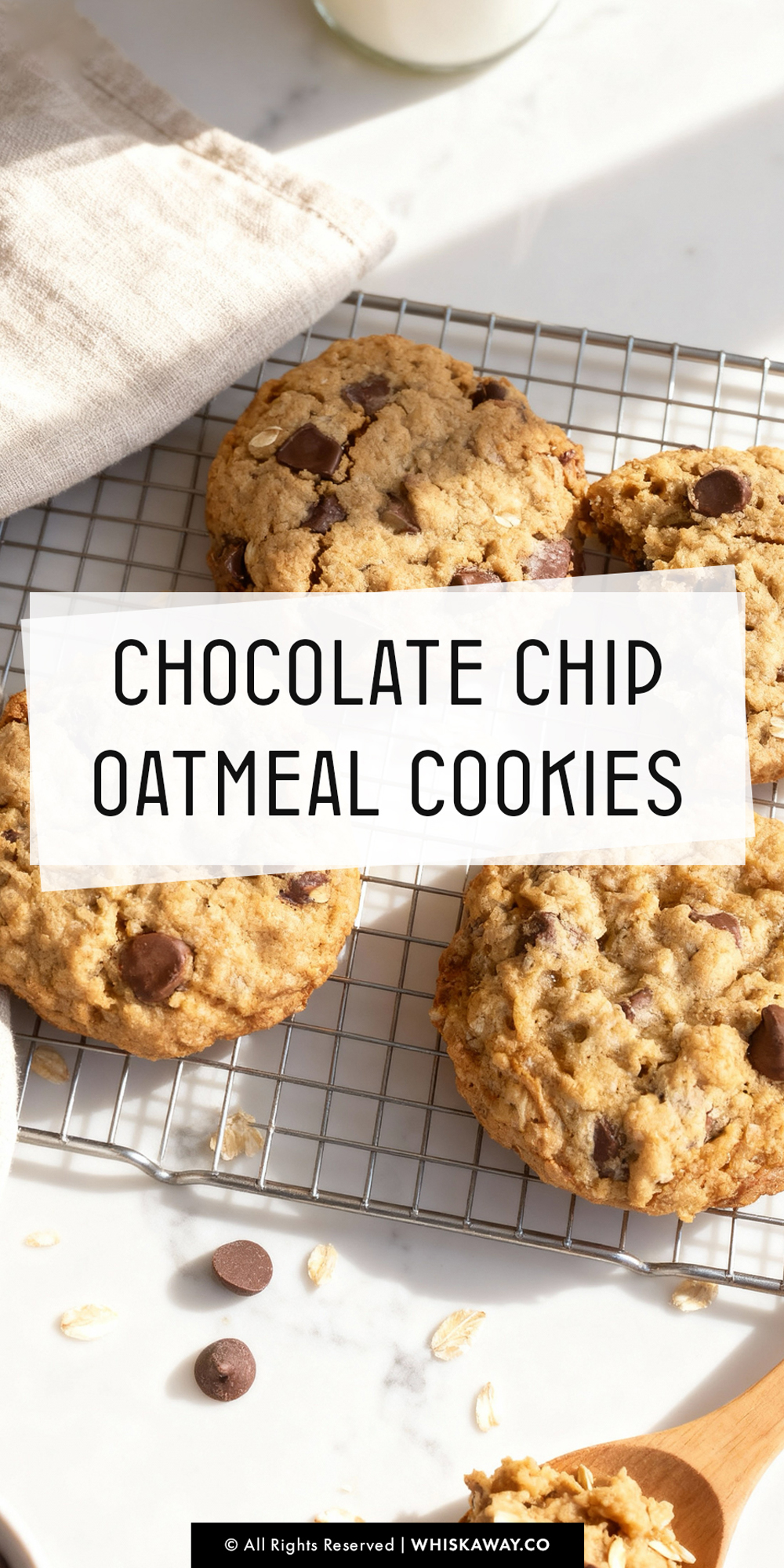 chocolate chip oatmeal cookie pin