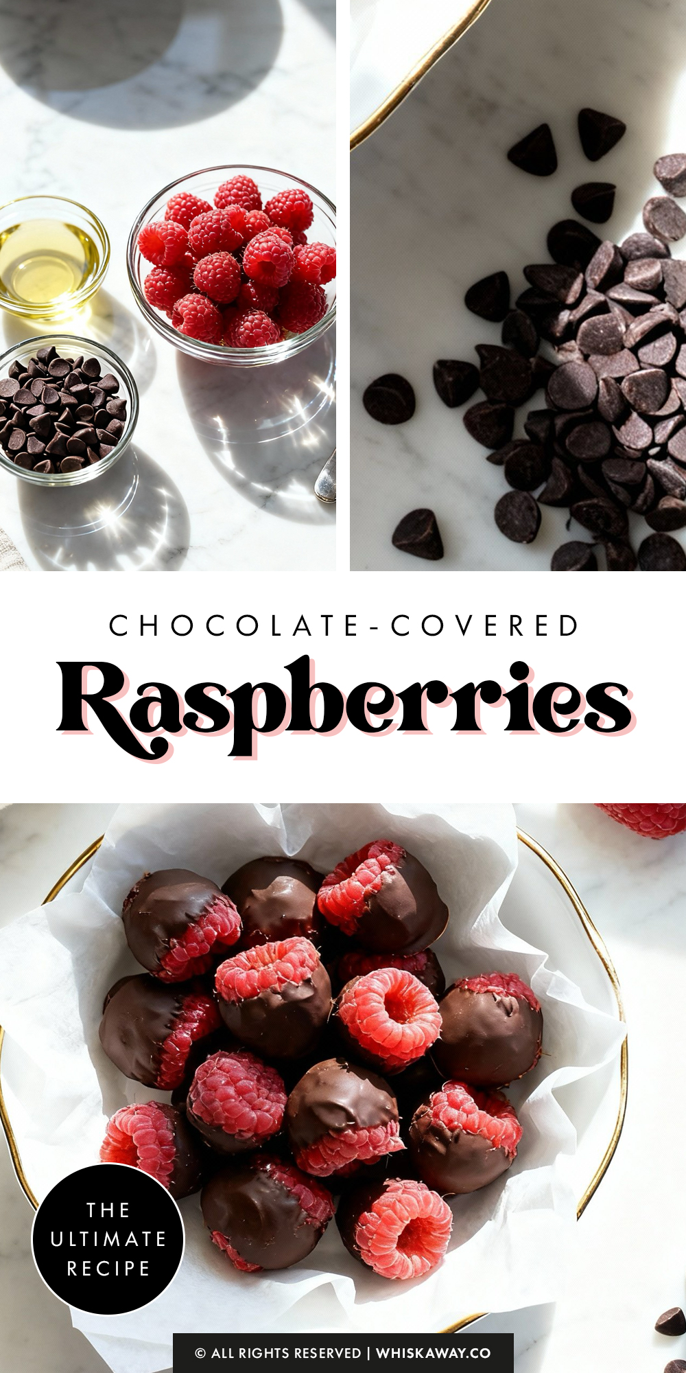Chocolate Covered Raspberries