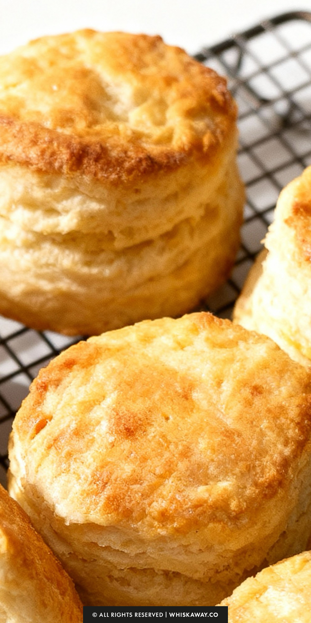 Classic Buttermilk Biscuits