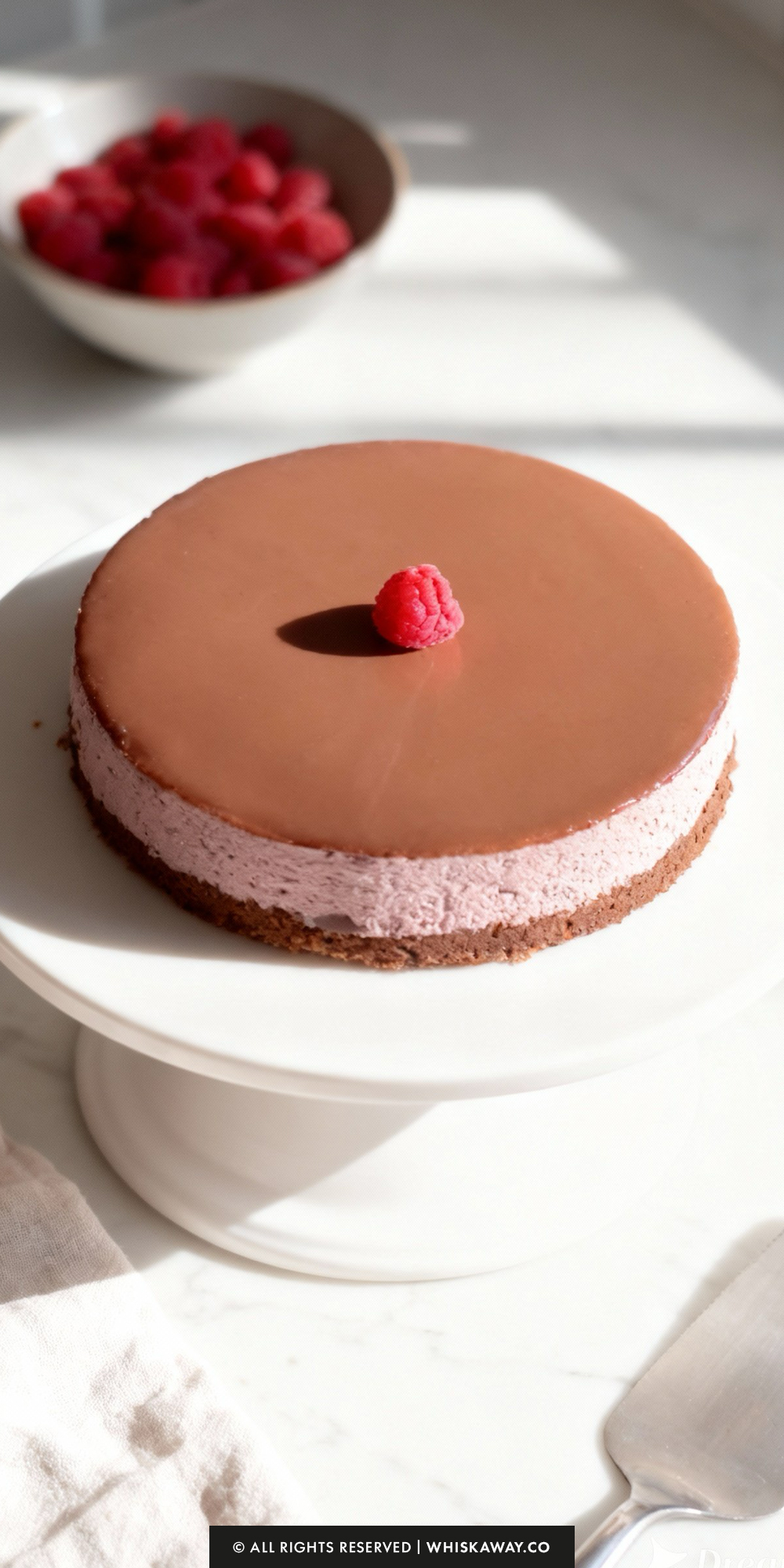 Raspberry Chocolate Mousse Cake
