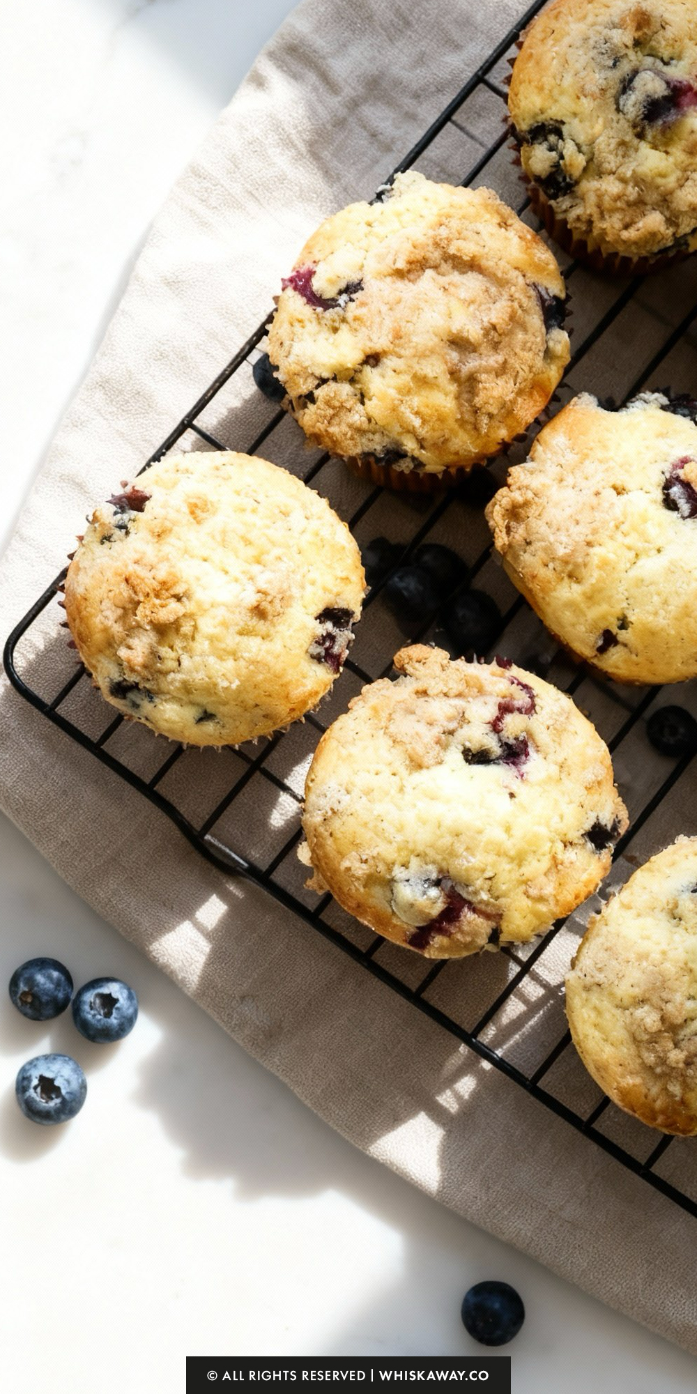 Blueberry Muffins