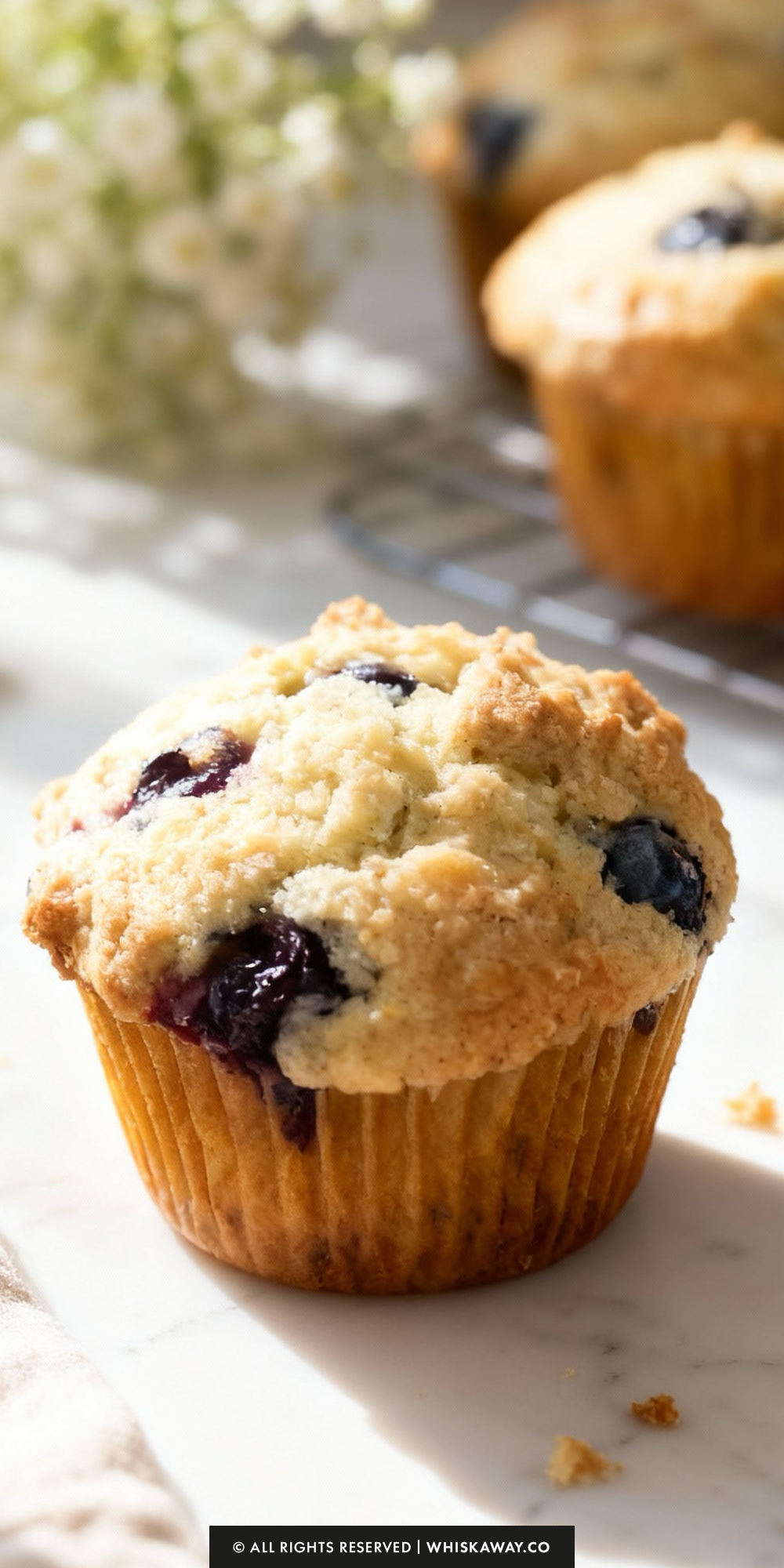 Blueberry Muffins