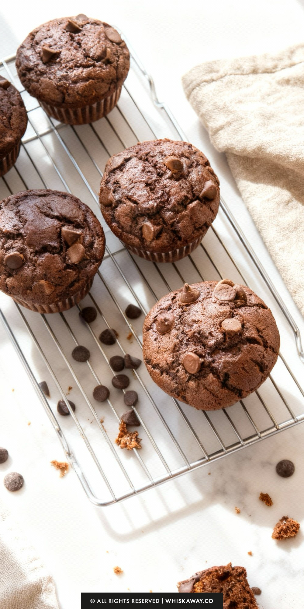 Double Chocolate Muffins
