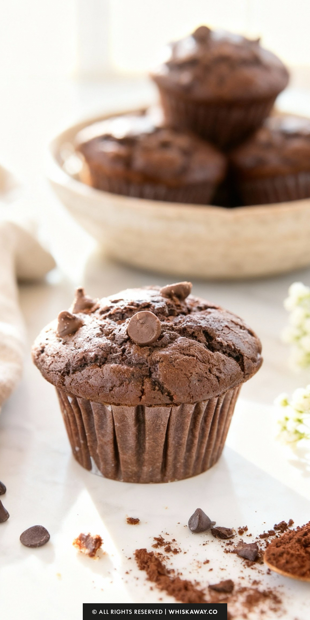Double Chocolate Muffins