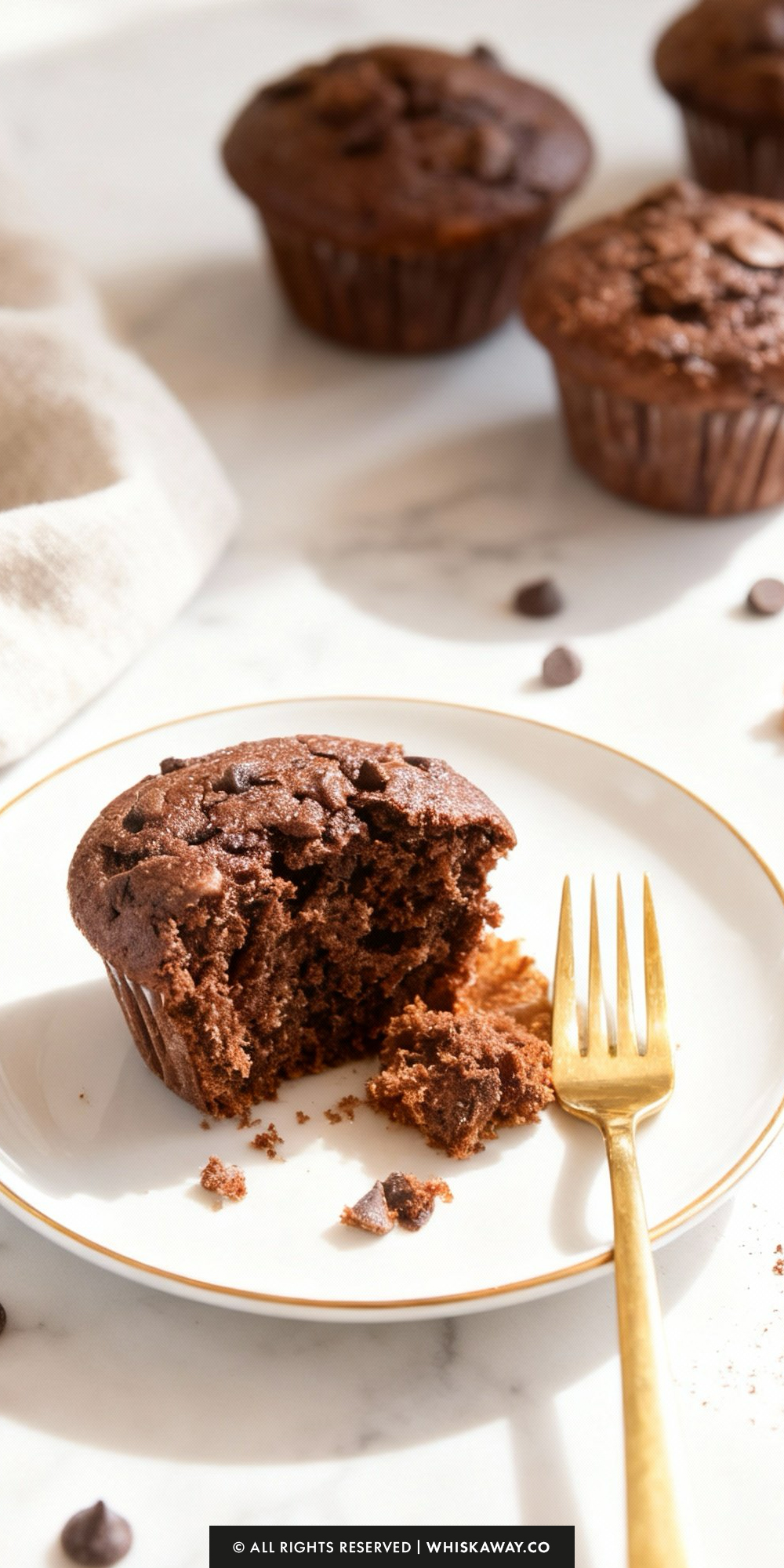 Double Chocolate Muffins