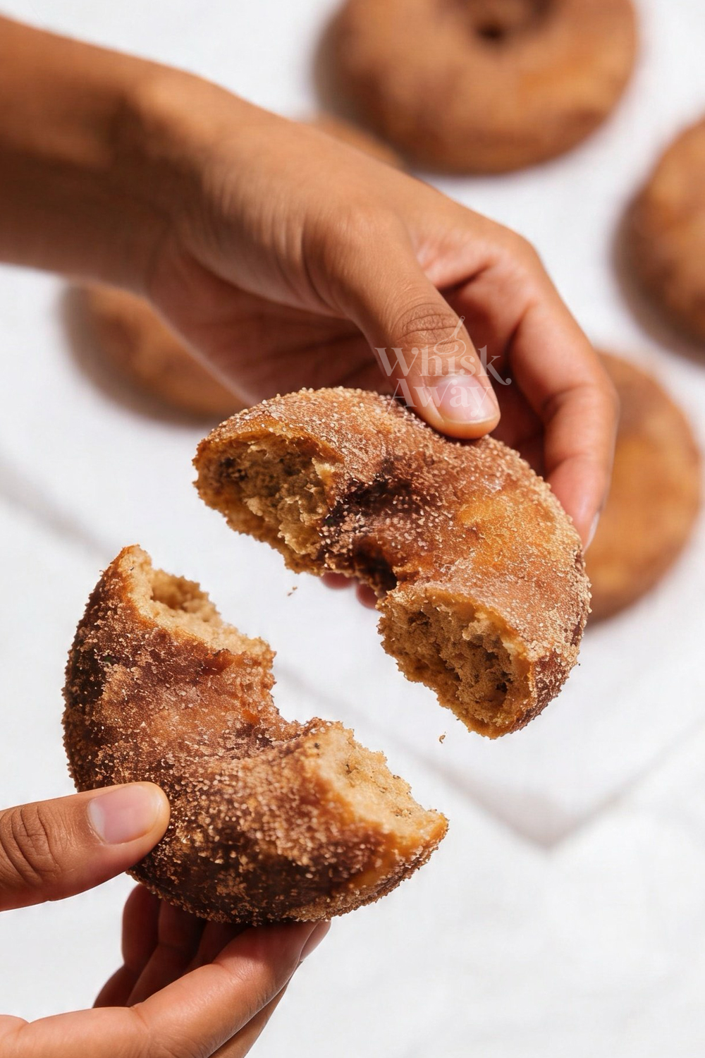 Apple Cider Donuts