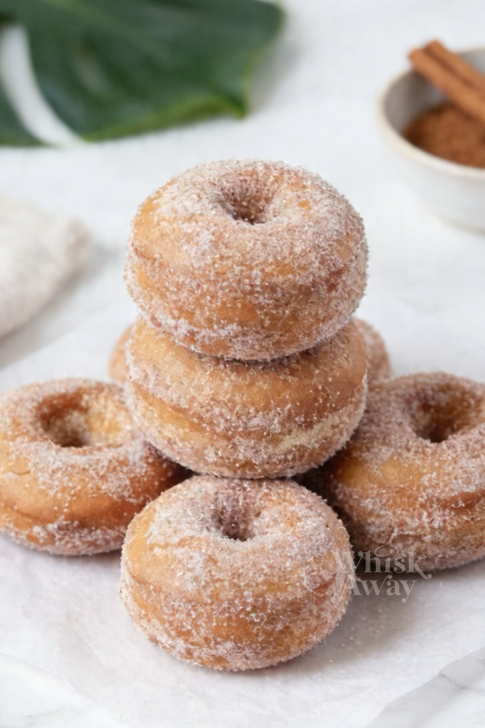 Cinnamon Sugar Cake Donuts