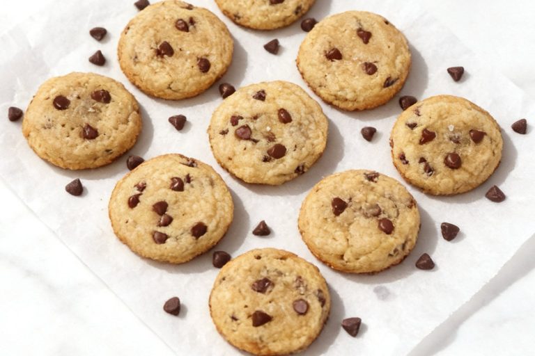 Mini Chocolate Chip Cookies